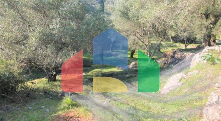 Продажа - Земельный участок 5000 m² на о. Корфу