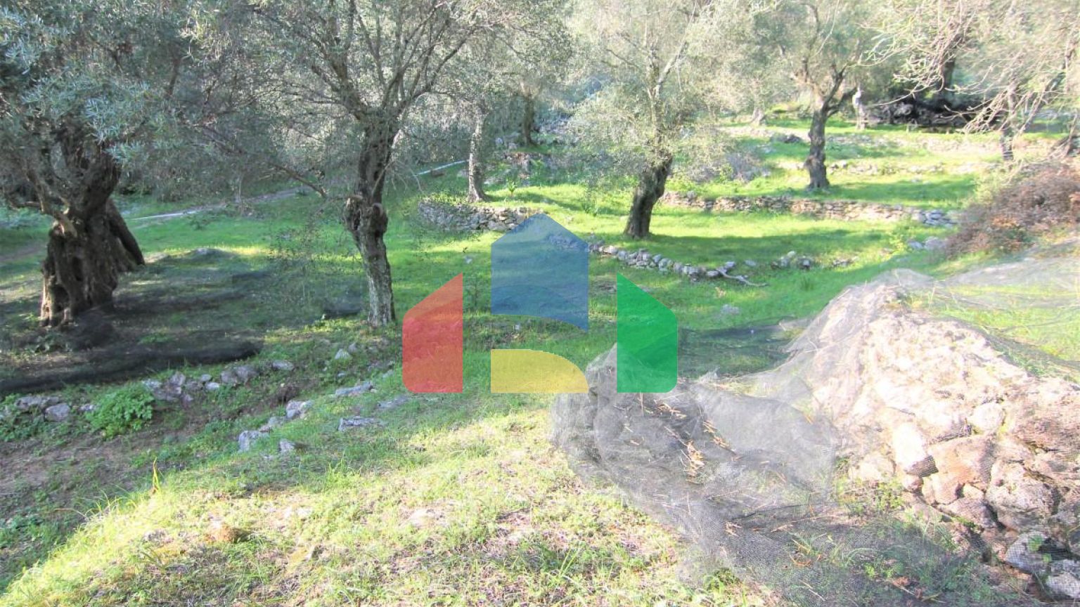 Продажа - Земельный участок 5000 m² на о. Корфу