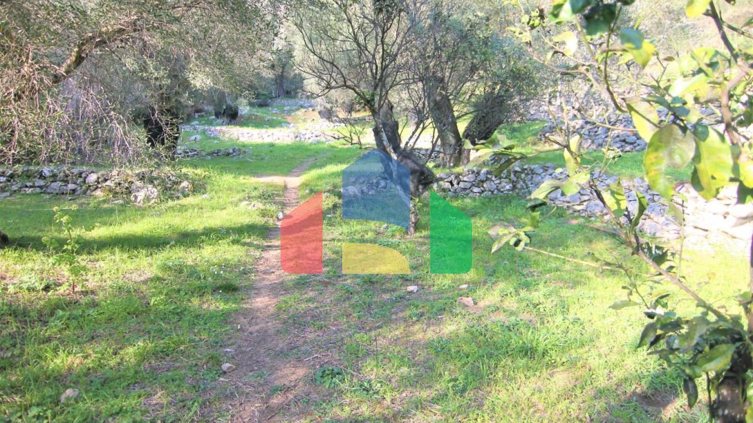 Продажа - Земельный участок 5000 m² на о. Корфу