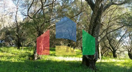 Продажа - Земельный участок 4800 m² на о. Корфу