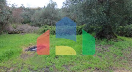 Продаж - Земельна ділянка 205000 m² на о. Корфу