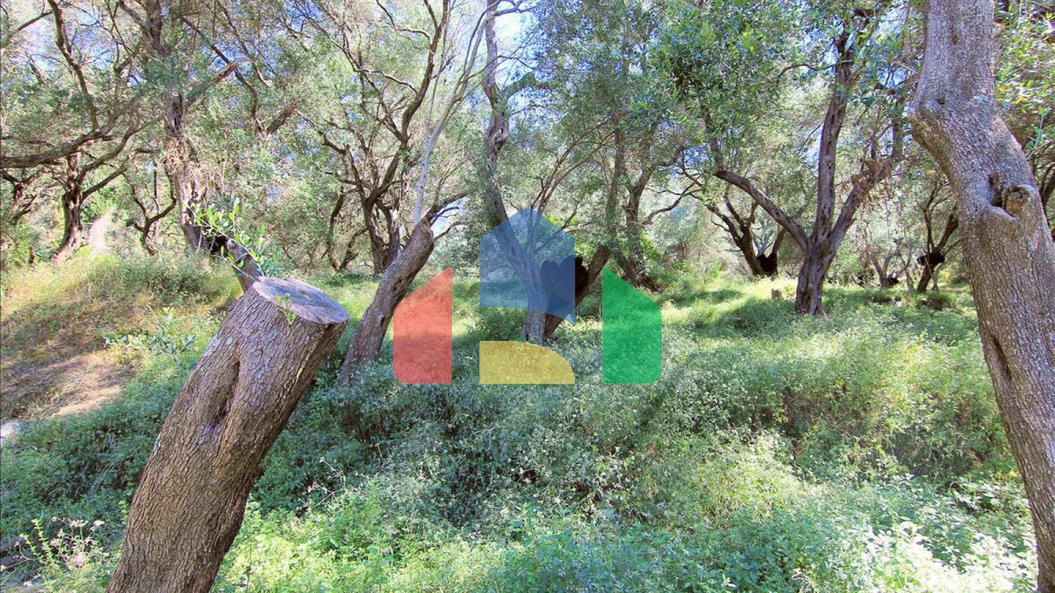 Продажа - Земельный участок 10000 m² на о. Корфу