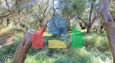 Продажа - Земельный участок 10000 m² на о. Корфу