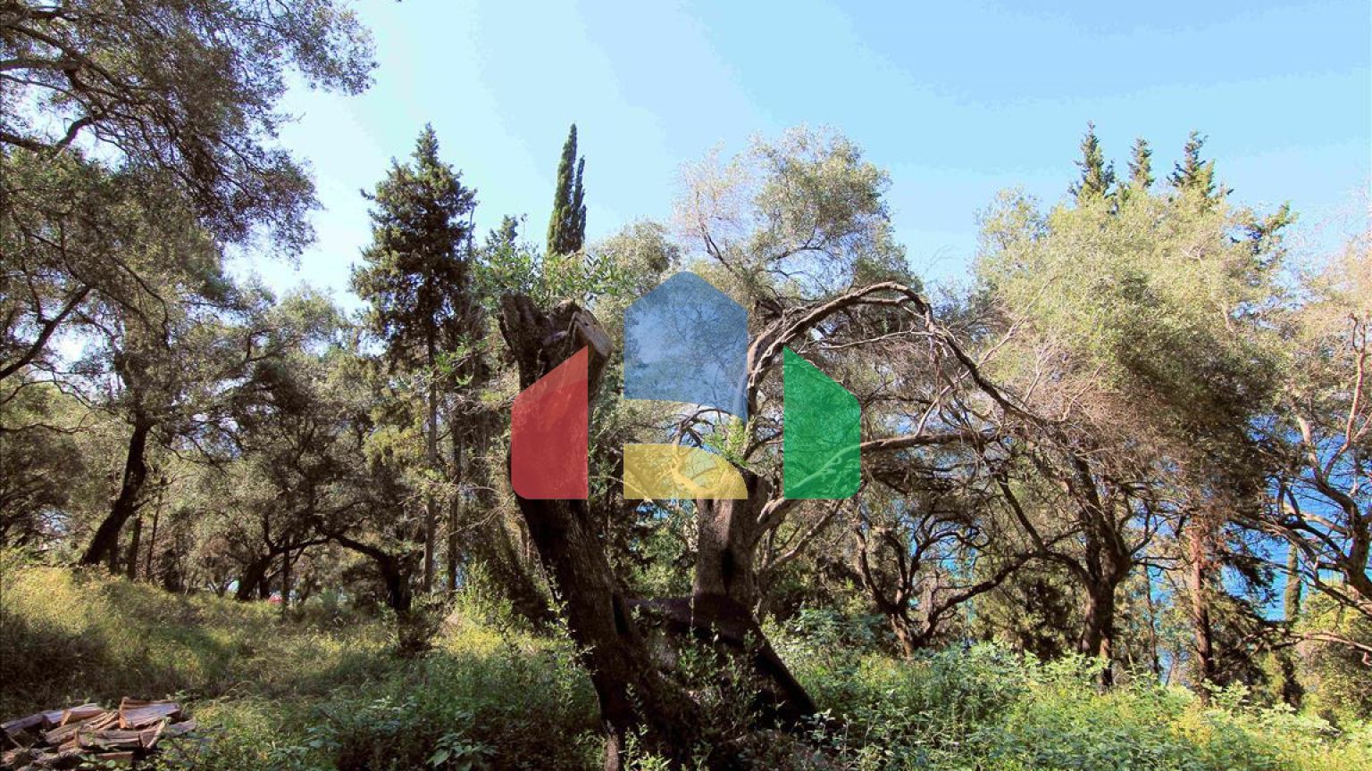 Продажа - Земельный участок 10000 m² на о. Корфу