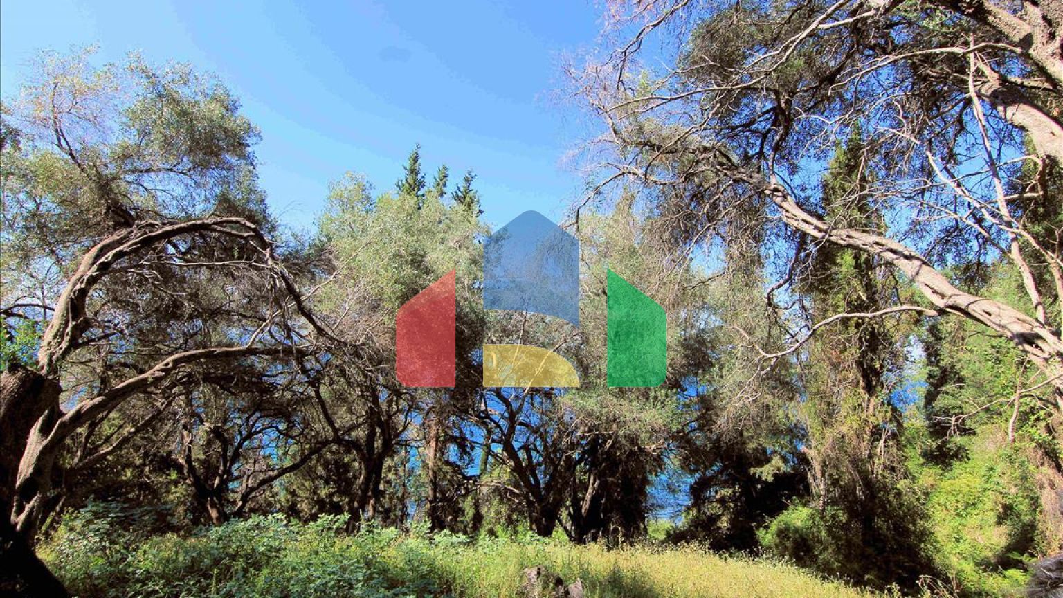 Продажа - Земельный участок 10000 m² на о. Корфу