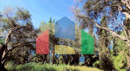 Продажа - Земельный участок 10000 m² на о. Корфу