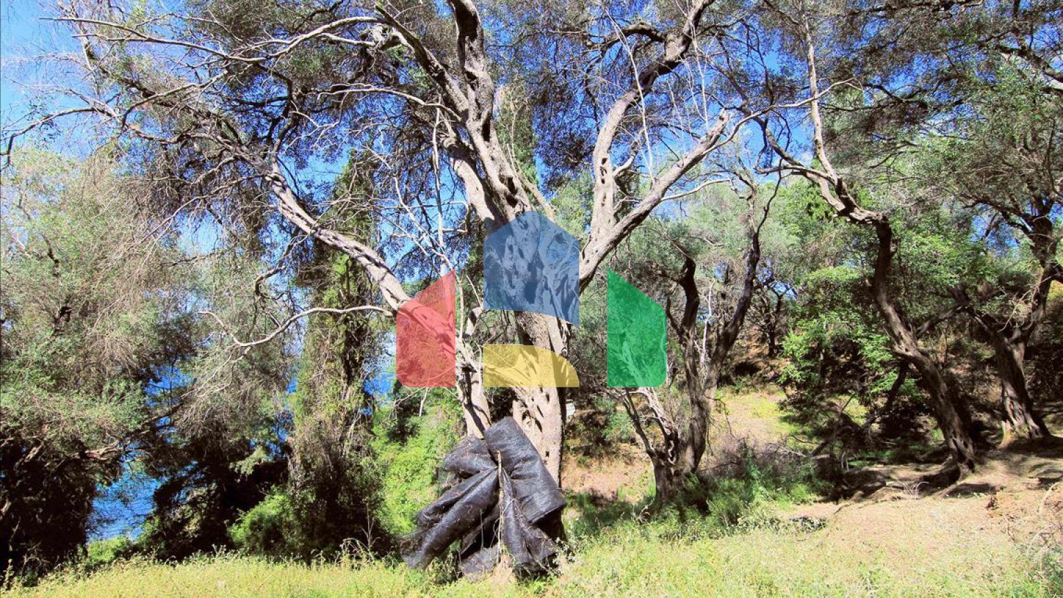 Продажа - Земельный участок 10000 m² на о. Корфу