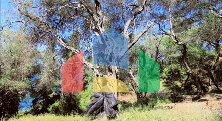 Продажа - Земельный участок 10000 m² на о. Корфу