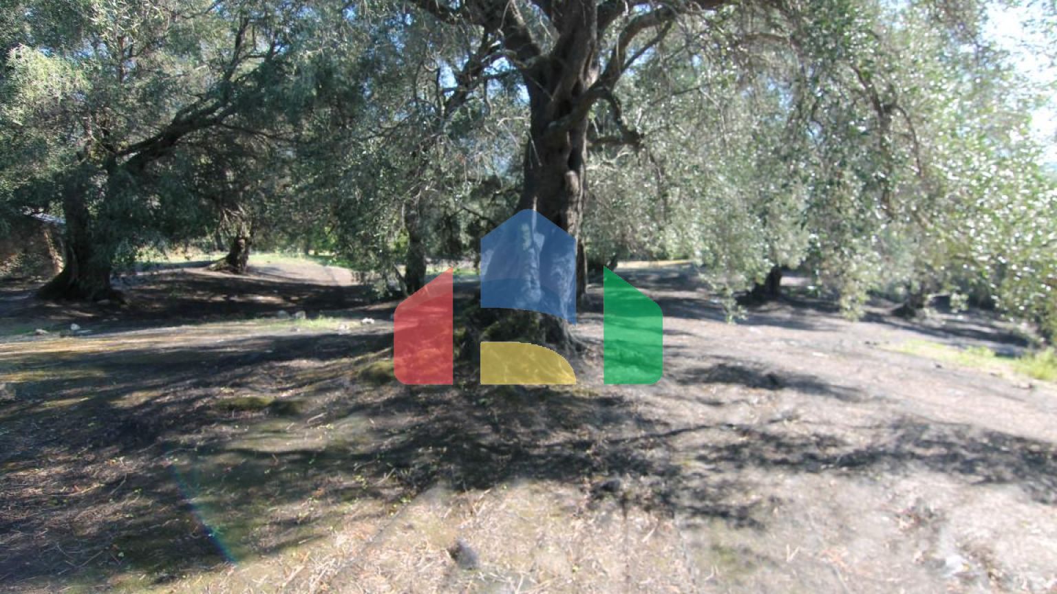 Продажа - Земельный участок 11000 m² на о. Корфу