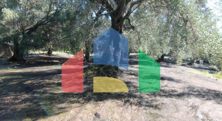 Продажа - Земельный участок 11000 m² на о. Корфу