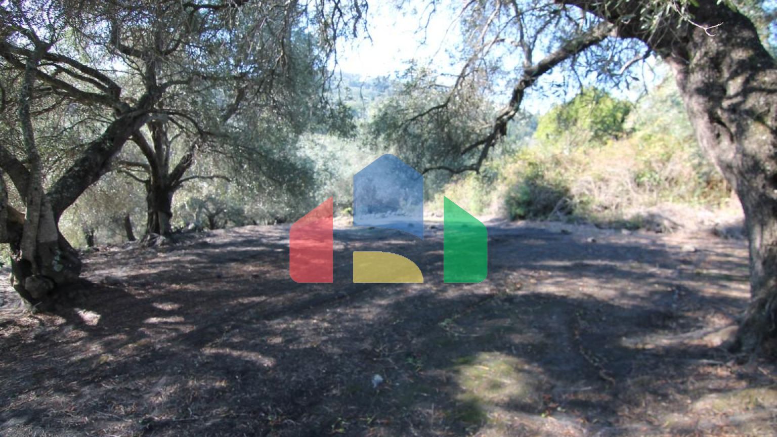 Продажа - Земельный участок 11000 m² на о. Корфу