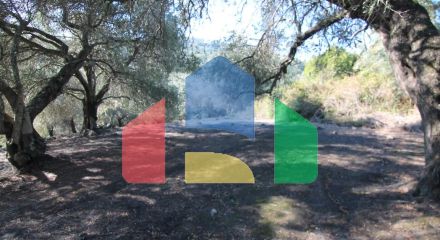 Продажа - Земельный участок 11000 m² на о. Корфу