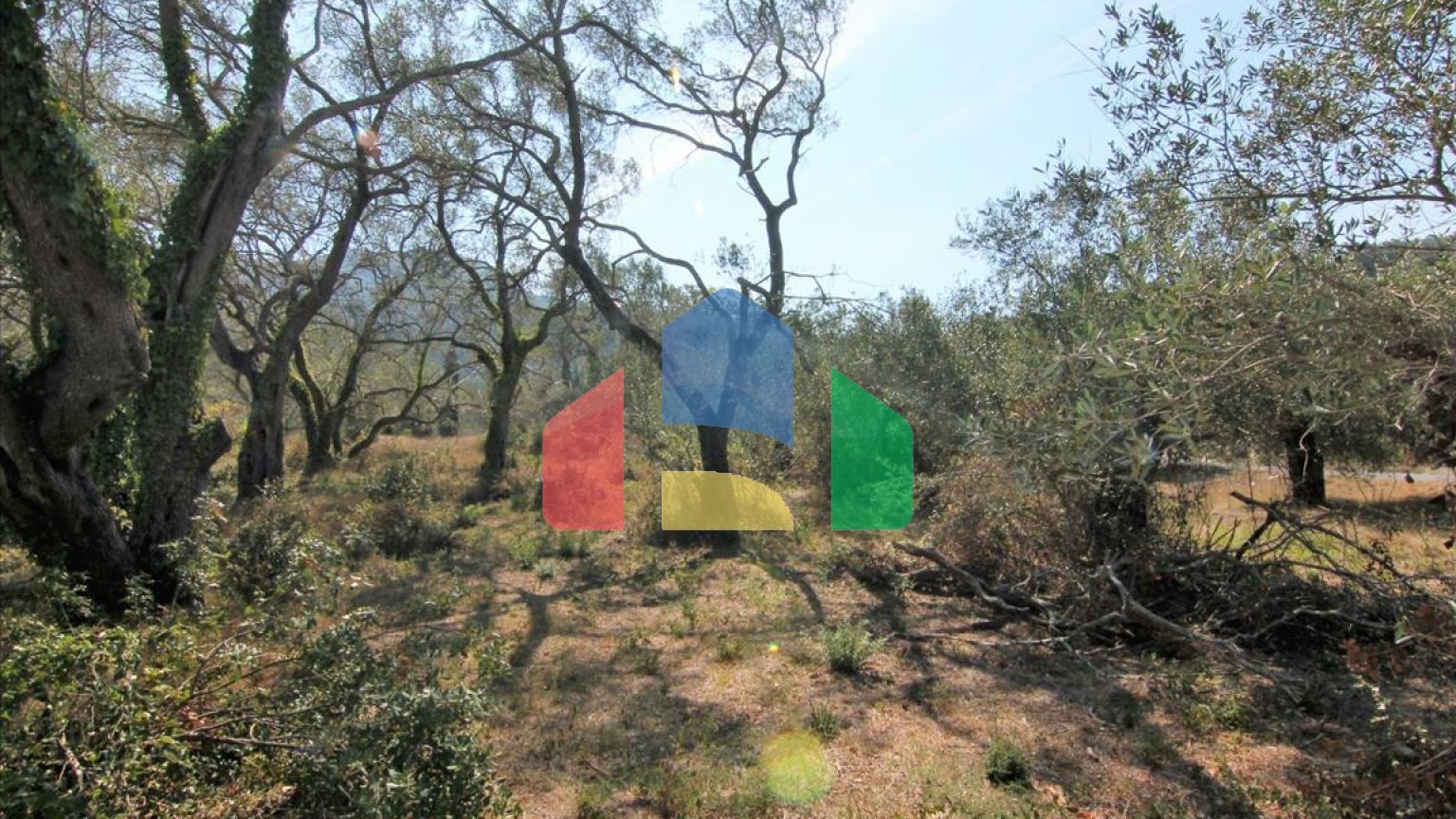 Продажа - Земельный участок 20700 m² на о. Корфу