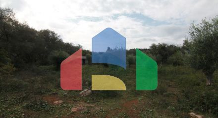 Продажа - Земельный участок 6500 m² на о. Корфу