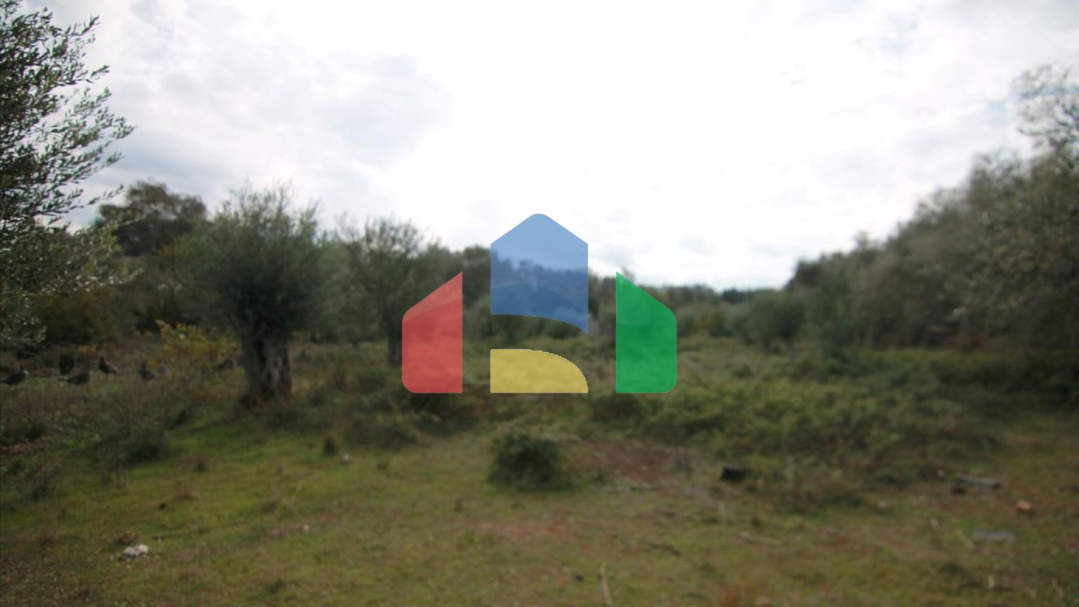 Продажа - Земельный участок 6500 m² на о. Корфу