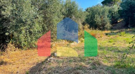 Продажа - Земельный участок 1047 m² на о. Корфу