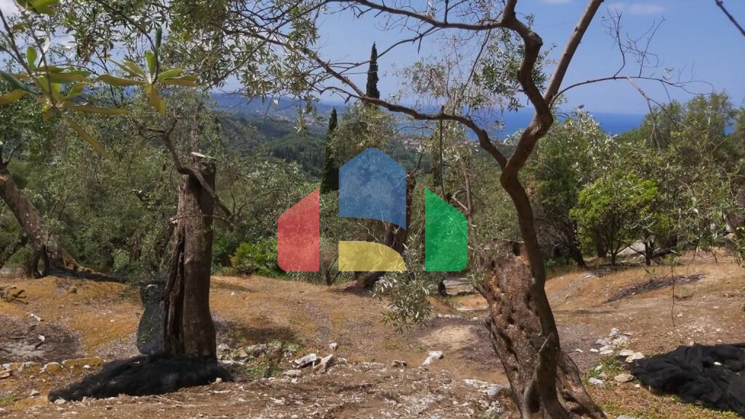 Продаж - Земельна ділянка 4972 m² на о. Корфу