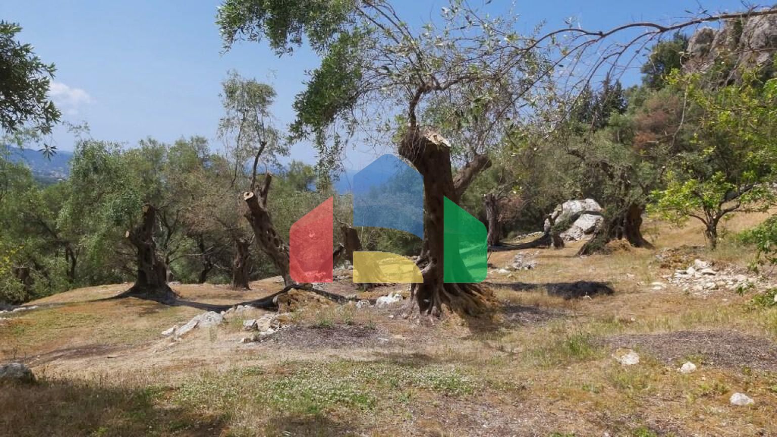 Продаж - Земельна ділянка 4972 m² на о. Корфу