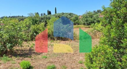 For Sale - Land 2500 m² in Corfu