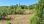 For Sale - Land 2500 m² in Corfu