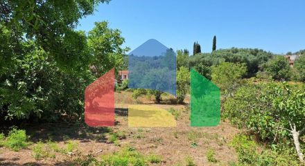 For Sale - Land 2500 m² in Corfu