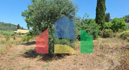 For Sale - Land 2500 m² in Corfu