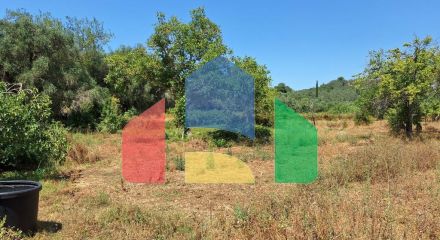 For Sale - Land 2500 m² in Corfu