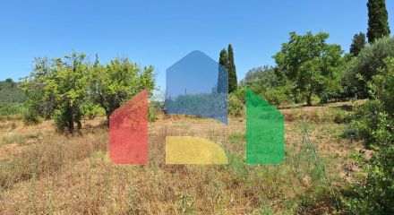 Продаж - Земельна ділянка 2500 m² на о. Корфу