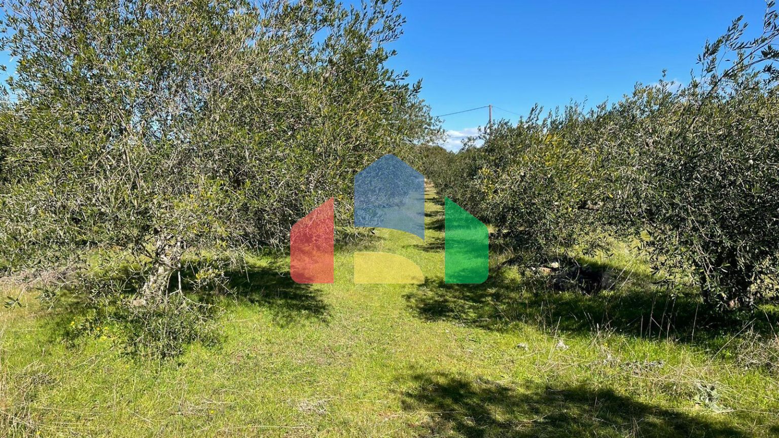 Продаж - Земельна ділянка 5000 m² на о. Корфу