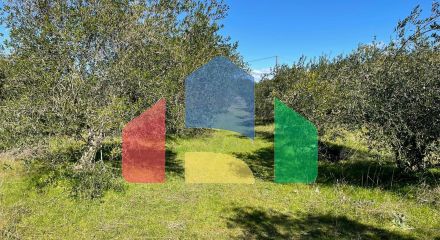 Продаж - Земельна ділянка 5000 m² на о. Корфу