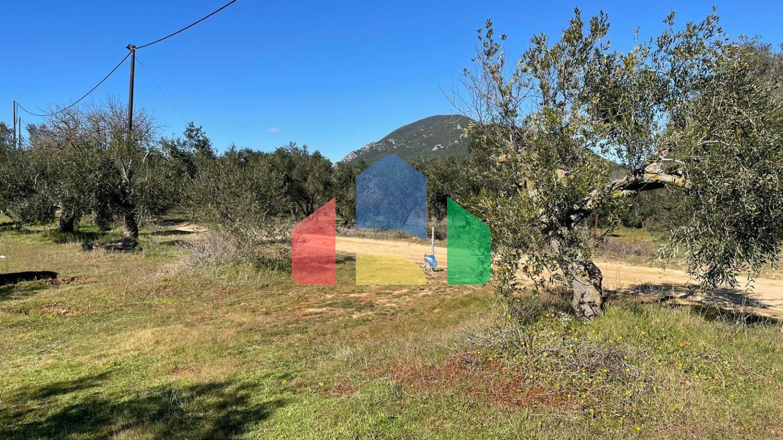 Продаж - Земельна ділянка 5000 m² на о. Корфу