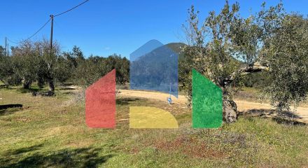 Продаж - Земельна ділянка 5000 m² на о. Корфу