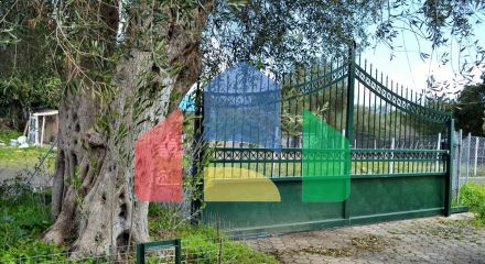 Продажа - Коттедж 220 m² на о. Корфу Продажа - Коттедж 220 m² на о. Корфу