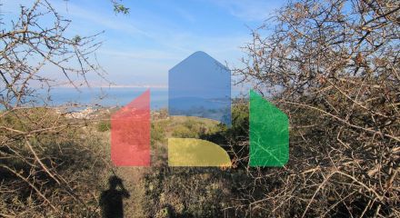For Sale - Land 11000 m² in Corfu