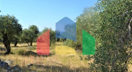 For Sale - Land 5000 m² in Corfu