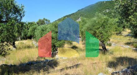 For Sale - Land 5000 m² in Corfu