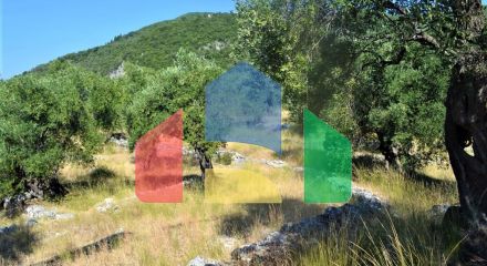 For Sale - Land 5000 m² in Corfu
