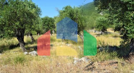 For Sale - Land 5000 m² in Corfu