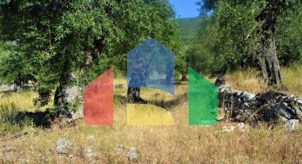 For Sale - Land 5000 m² in Corfu