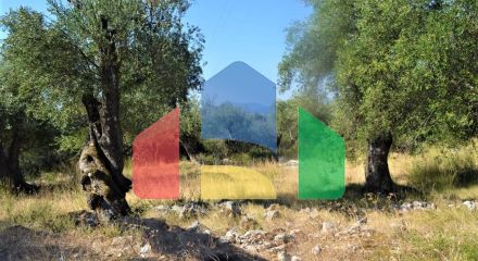 For Sale - Land 5000 m² in Corfu