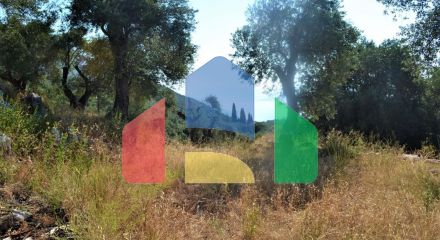 For Sale - Land 5000 m² in Corfu