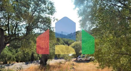 For Sale - Land 5000 m² in Corfu