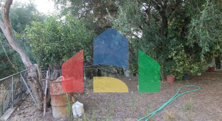 Продаж - Котедж 250 m² на о. Корфу