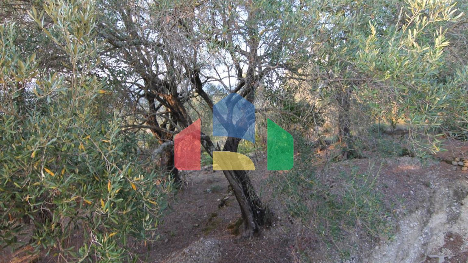 Продаж - Котедж 250 m² на о. Корфу