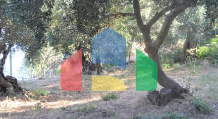 Продажа - Коттедж 210 m² на о. Корфу