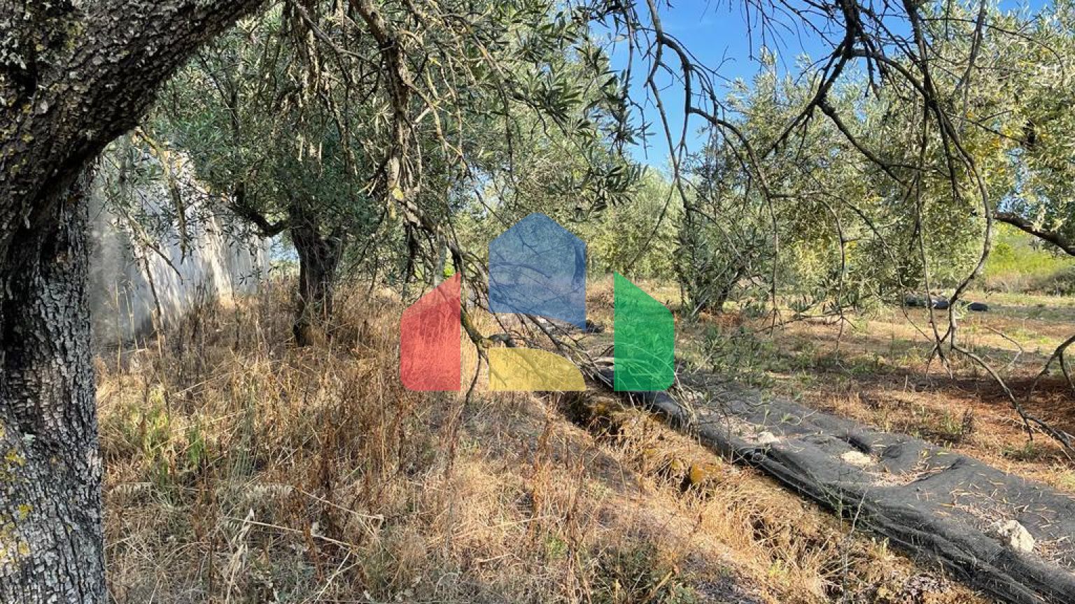 Продажа - Здание 200 m² на о. Корфу