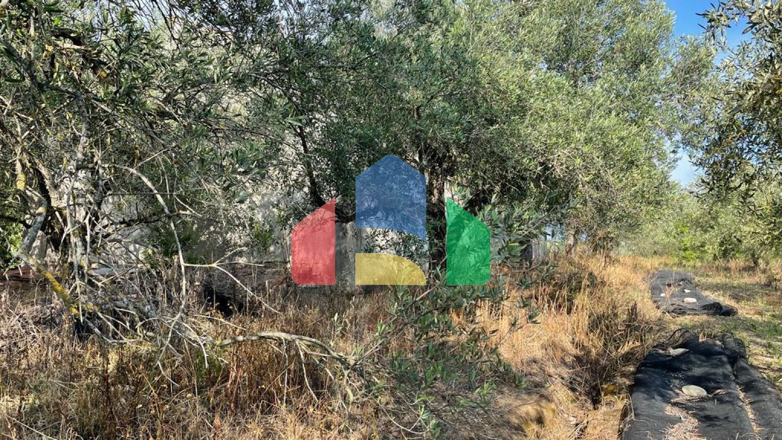 Продажа - Здание 200 m² на о. Корфу