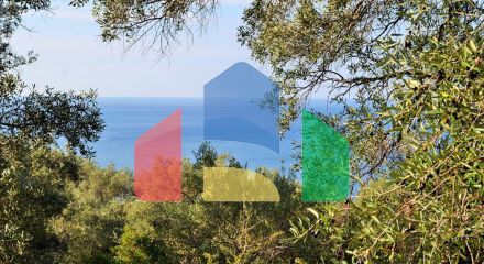 For Sale - Land 7606 m² in Corfu