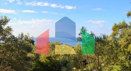 For Sale - Land 7606 m² in Corfu