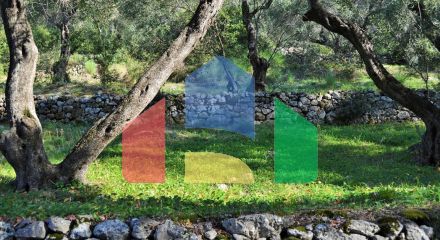 For Sale - Land 7606 m² in Corfu